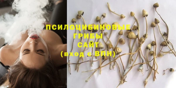 не бодяженный Арсеньев