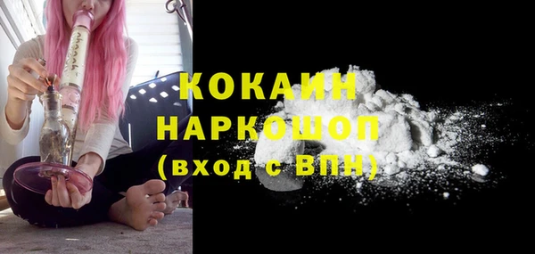 хмурый Аркадак