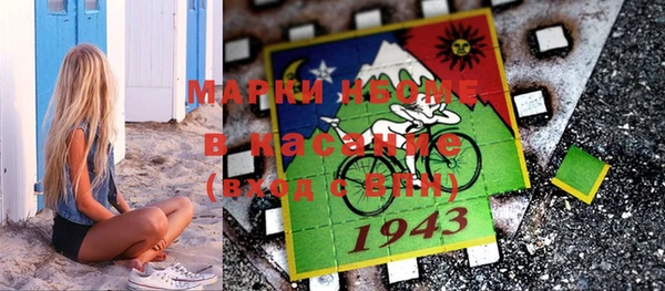 хмурый Аркадак