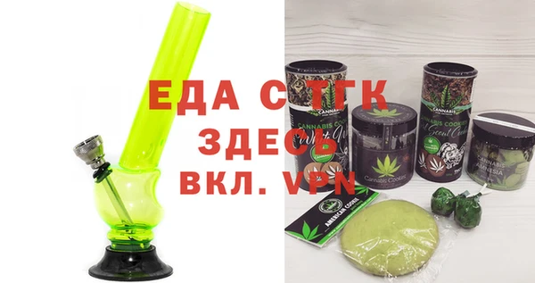 хмурый Аркадак