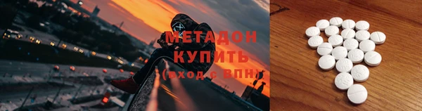 хмурый Аркадак