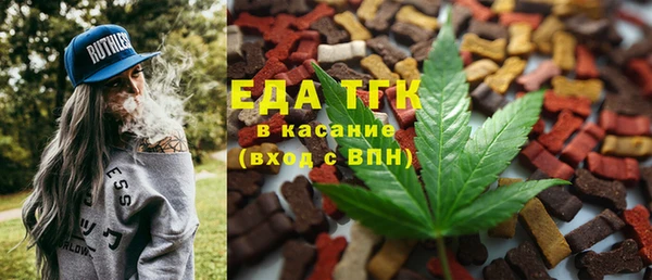 хмурый Аркадак