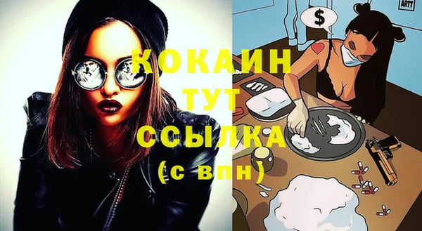 хмурый Аркадак