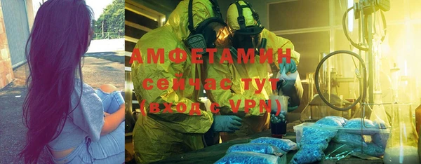 хмурый Аркадак