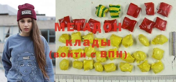 хмурый Аркадак