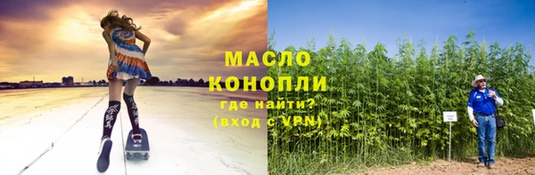 хмурый Аркадак