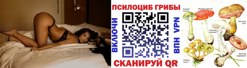 Галлюциногенные грибы Psilocybe  купить наркотики сайты  Козьмодемьянск 
